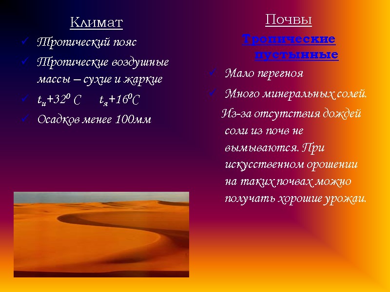 Климат Тропический пояс Тропические воздушные массы – сухие и жаркие  tи+320 С 